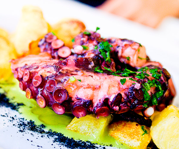 Água Hotels Água Hotels